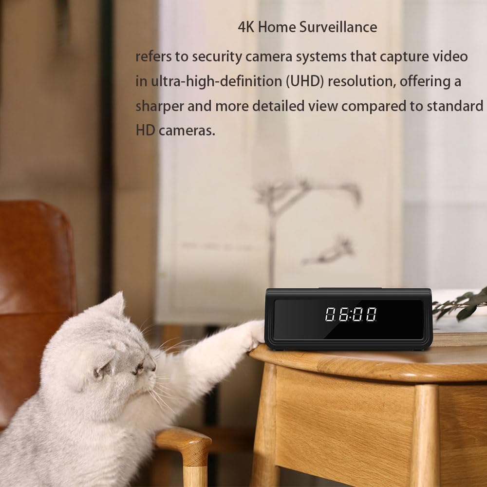 4K home surveillance scene